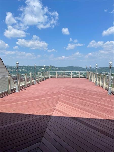 3567 Bigelow Blvd, Polish Hill, PA 15213 - photo 3