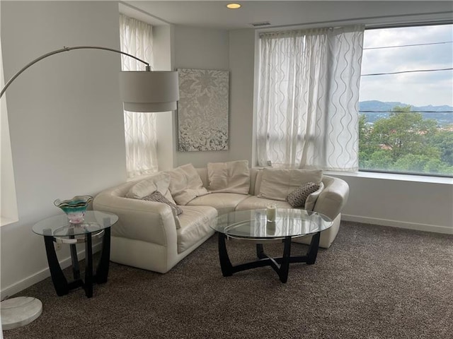 3567 Bigelow Blvd, Polish Hill, PA 15213 - photo 18