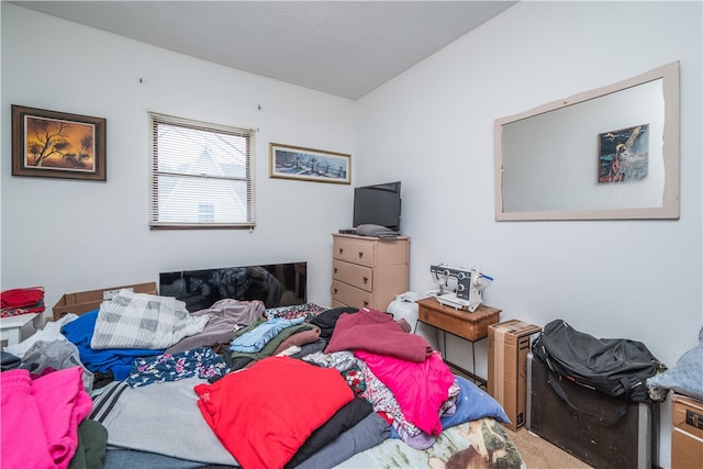 bedroom featuring carpet