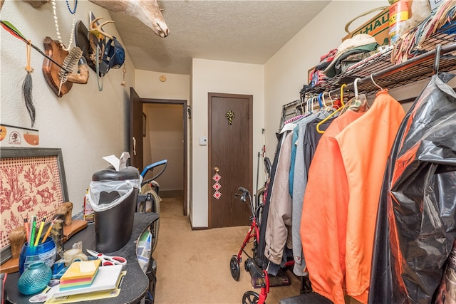 walk in closet featuring carpet floors