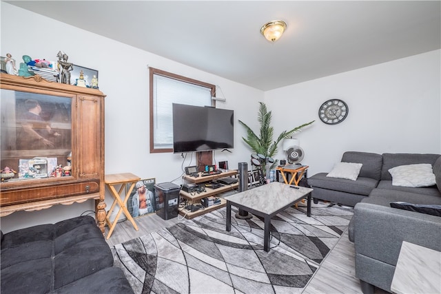 living room featuring light wood-type flooring