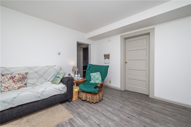 living room featuring wood-type flooring