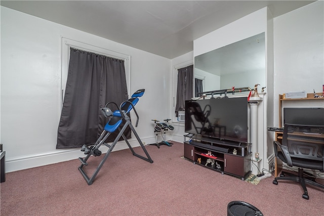 exercise area featuring carpet floors