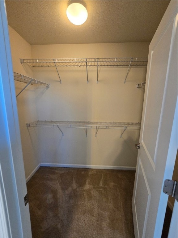 walk in closet with dark carpet