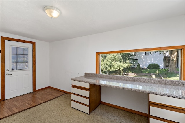 entrance foyer with light hardwood / wood-style flooring