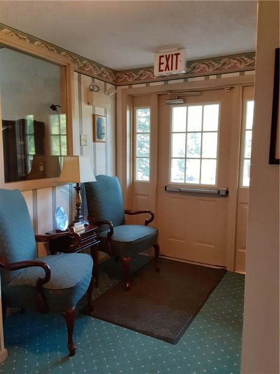 living area featuring carpet floors