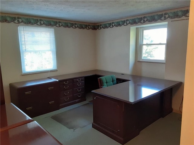 home office with a textured ceiling