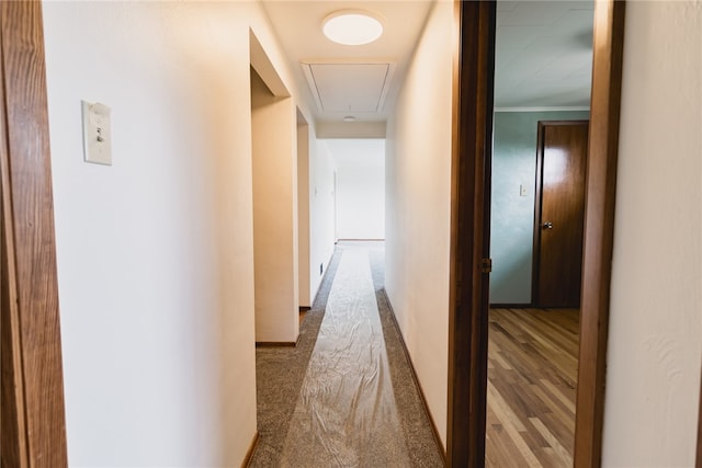 hallway featuring hardwood / wood-style floors