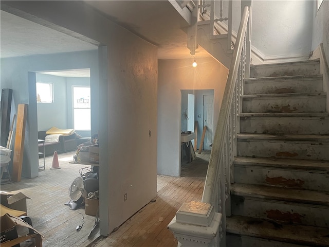 staircase with hardwood / wood-style flooring