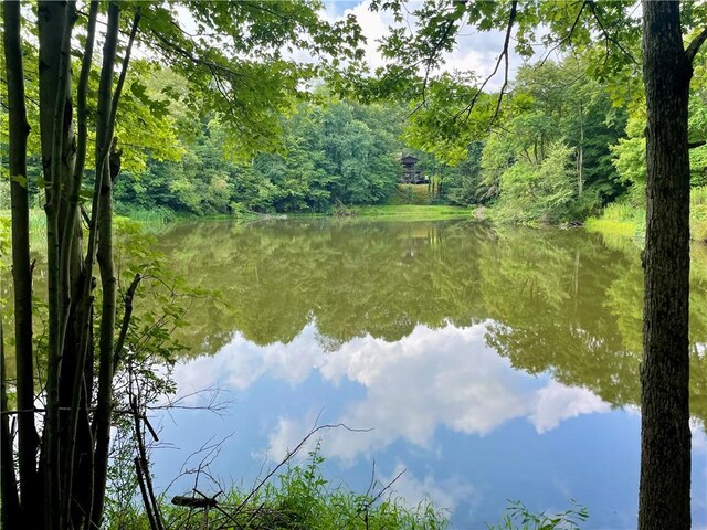 186 Lake Road Ln, Middlecreek Twp, PA 15557 - view of water feature with a wooded view