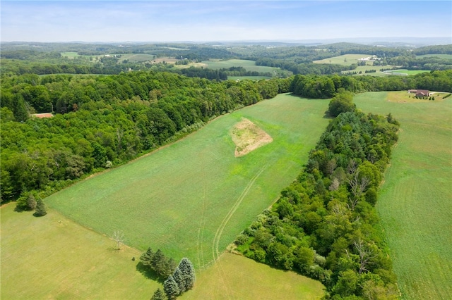 birds eye view of property with a rural view