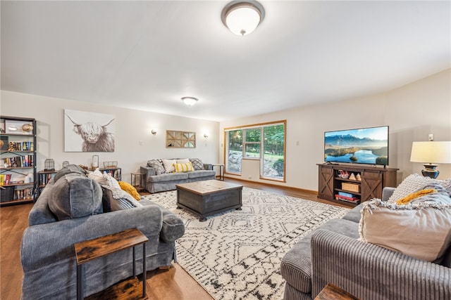 living room with hardwood / wood-style flooring