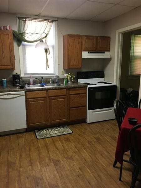 kitchen with sink, dark hardwood / wood-style flooring, white appliances, and range hood