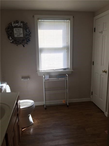 bathroom with radiator, wood-type flooring, vanity, and toilet