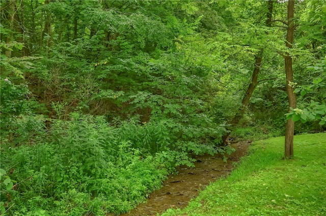 view of landscape