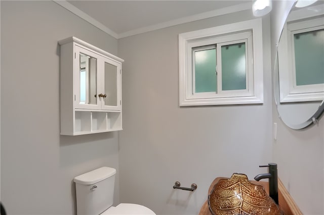 bathroom with crown molding and toilet