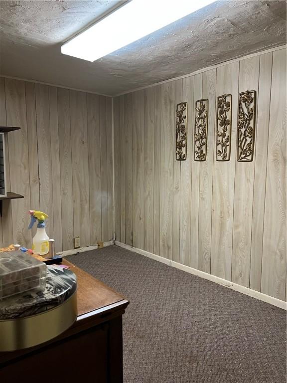 interior space featuring carpet, wood walls, and a textured ceiling