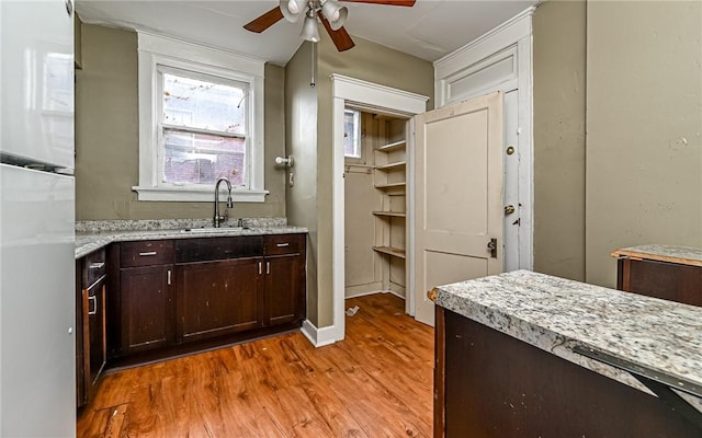 kitchen with sink, ceiling fan, light wood-type flooring, fridge, and dark brown cabinets