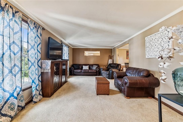 carpeted living room featuring crown molding