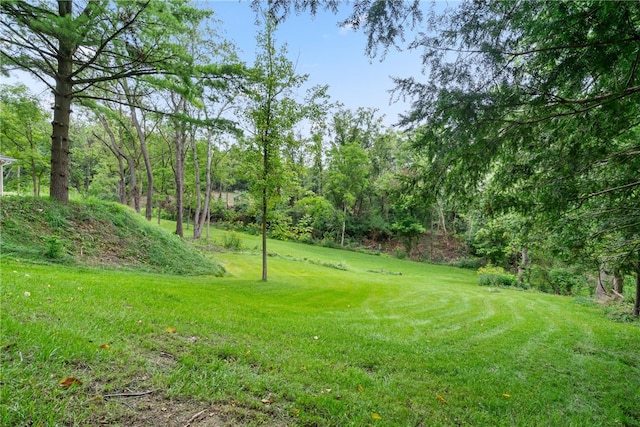 3326 New England Rd, West Mifflin, PA 15122 - view of green lawn