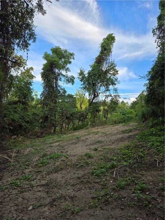 view of landscape