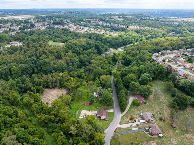 bird's eye view