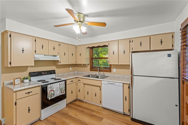 kitchen featuring ceiling fan, cream cabinets, light wood-type flooring, white appliances, and sink