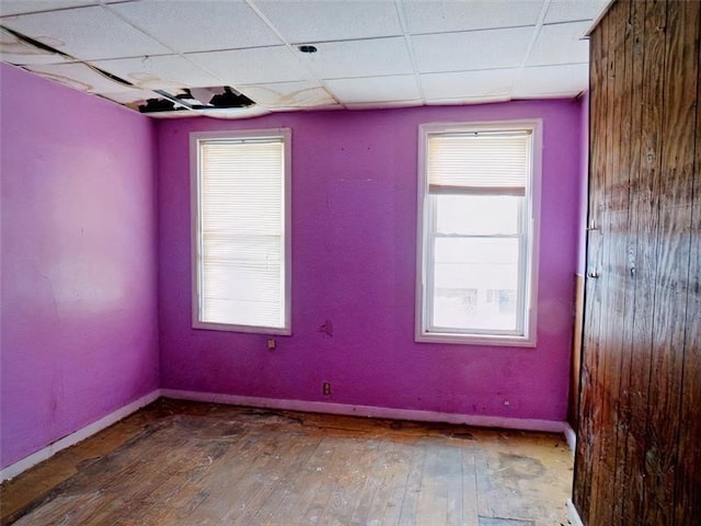 unfurnished room with a drop ceiling and hardwood / wood-style flooring