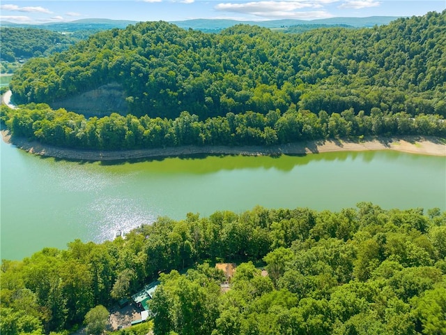 aerial view featuring a water view and a view of trees