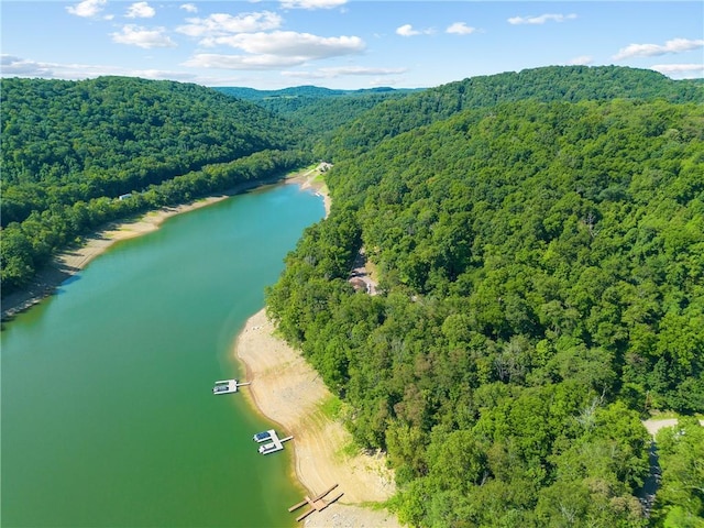 birds eye view of property featuring a water view and a wooded view