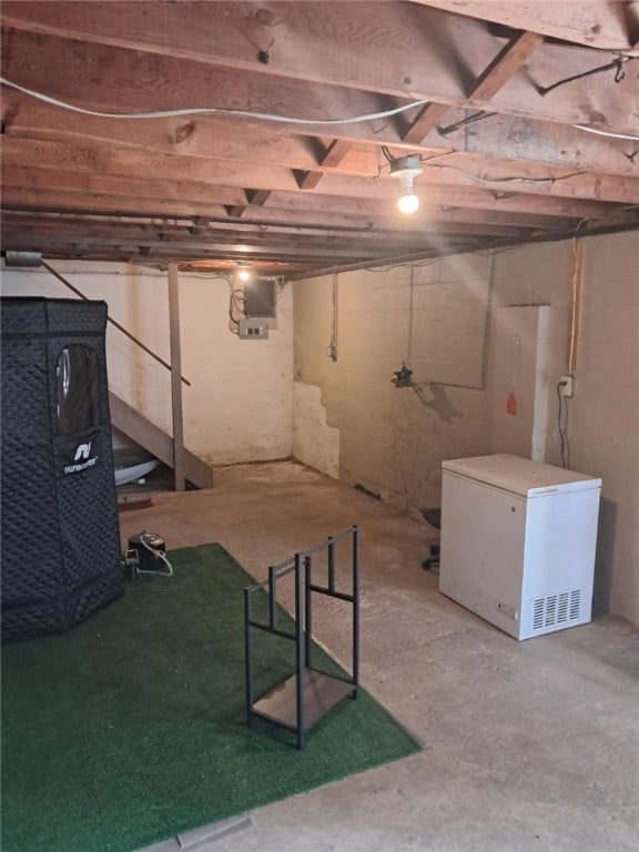 basement with refrigerator