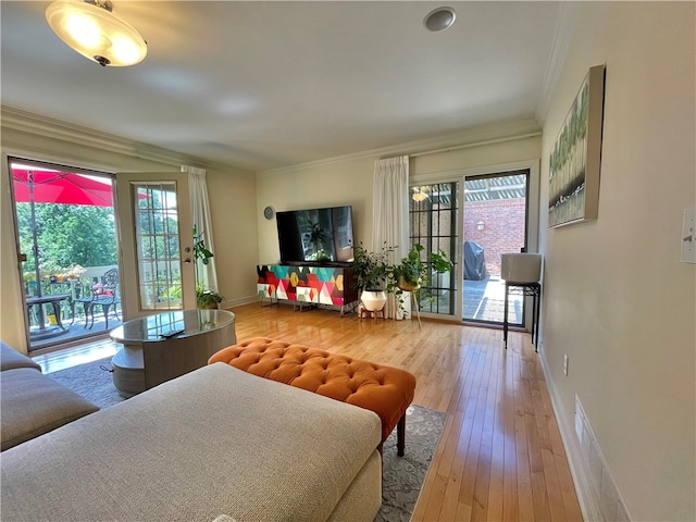 living room with a wealth of natural light, crown molding, and wood-type flooring