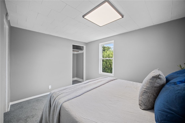 bedroom featuring carpet floors