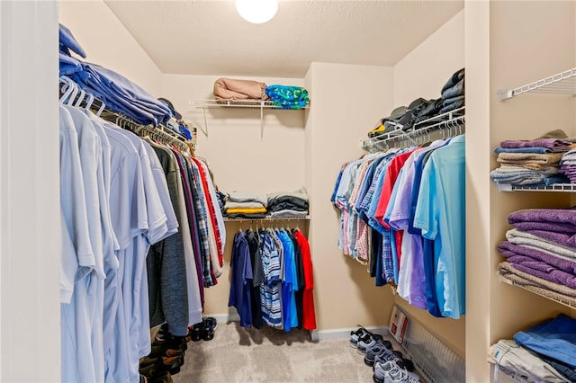 walk in closet with carpet flooring