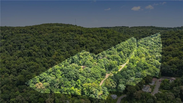 aerial view of property's location featuring a forest
