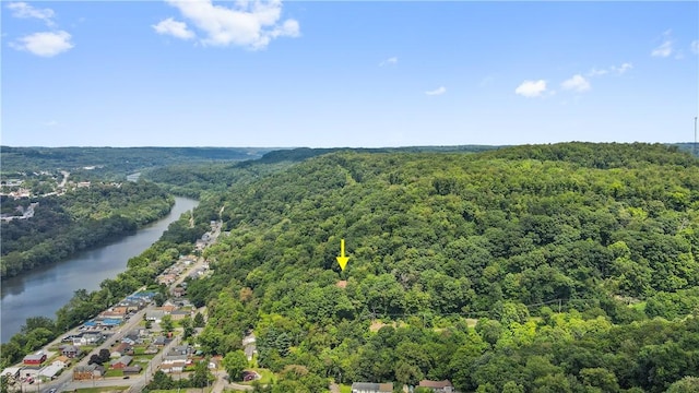 bird's eye view of a heavily wooded area and a large body of water