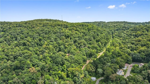 bird's eye view of a forest