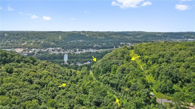 drone / aerial view of a forest
