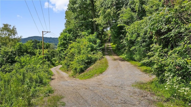 view of property's community featuring driveway