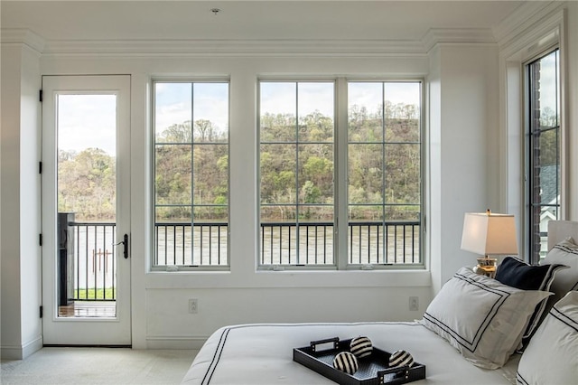 bedroom featuring access to exterior, baseboards, ornamental molding, and carpet flooring