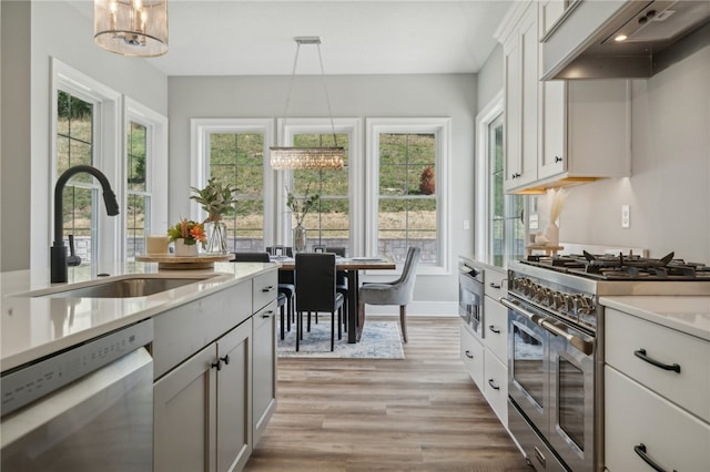 kitchen with dishwashing machine, light wood-type flooring, double oven range, premium range hood, and a healthy amount of sunlight