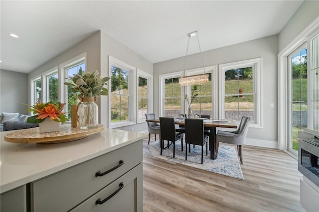 dining space with light hardwood / wood-style floors and a wealth of natural light