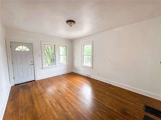 foyer with dark wood-type flooring and a healthy amount of sunlight