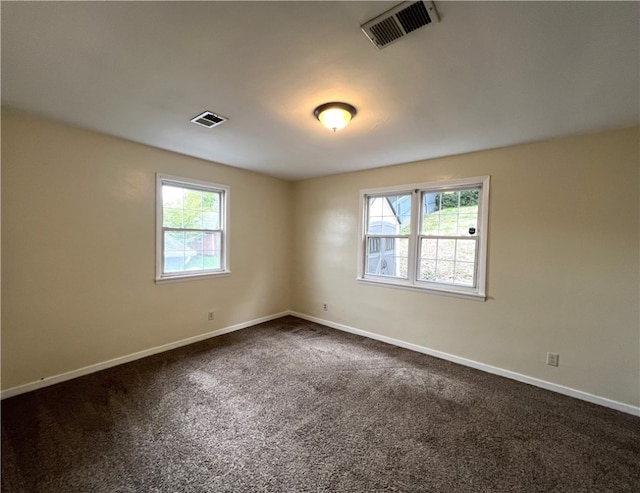 unfurnished room with carpet and a healthy amount of sunlight