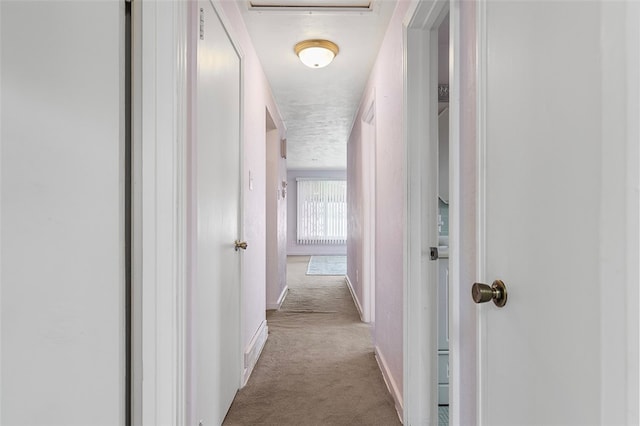 hallway featuring light carpet