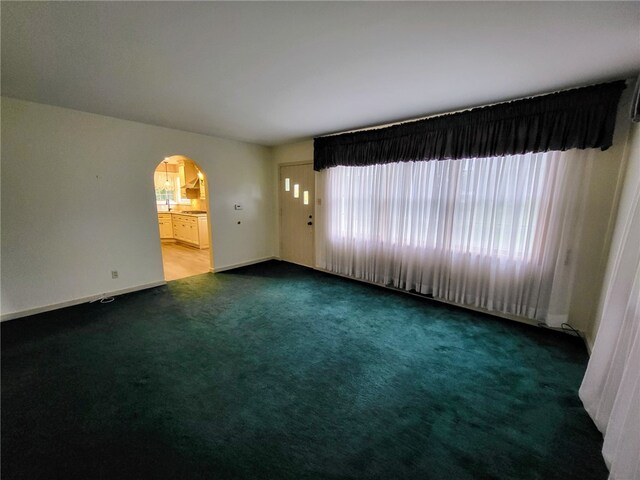 unfurnished room featuring carpet