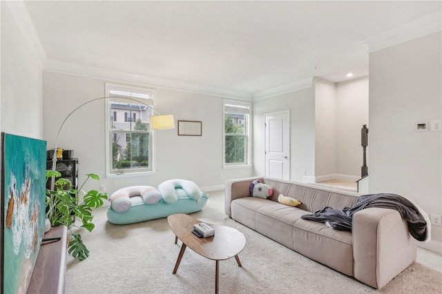 carpeted living room featuring crown molding