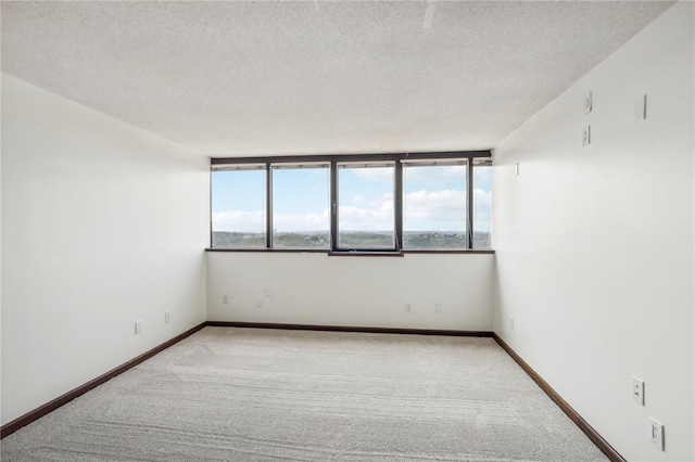 empty room with a textured ceiling, a wealth of natural light, and light colored carpet