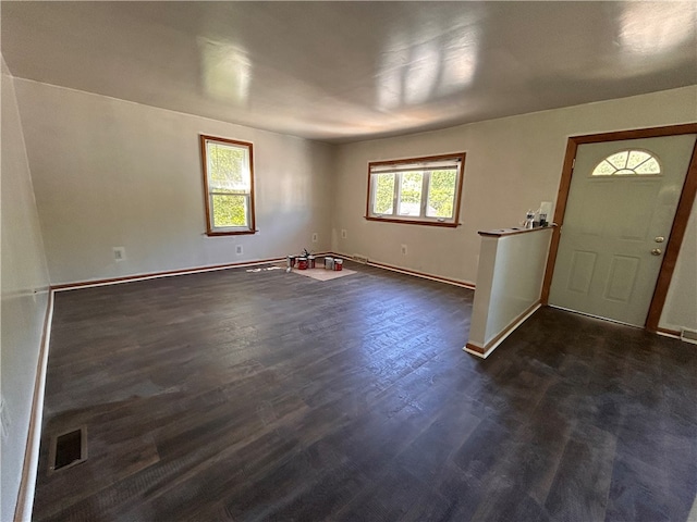 entrance foyer featuring plenty of natural light and dark wood-type flooring