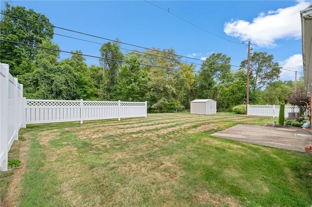 view of yard featuring a storage shed and a patio